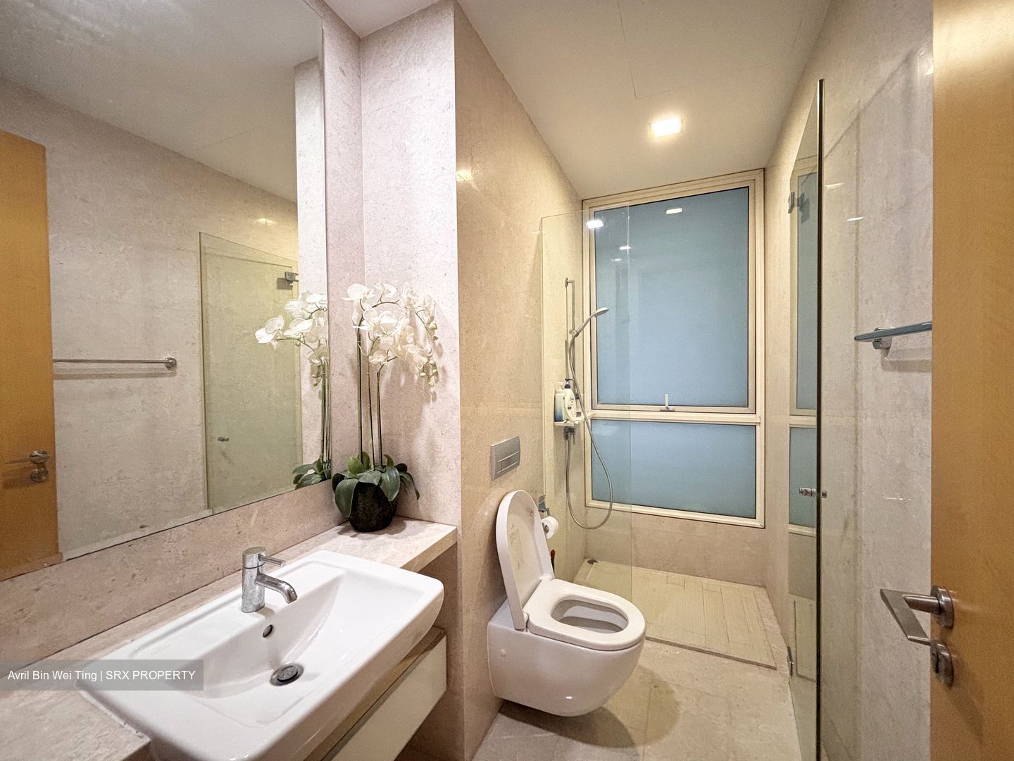 Scotts Highpark (D9), Condominium #522420951